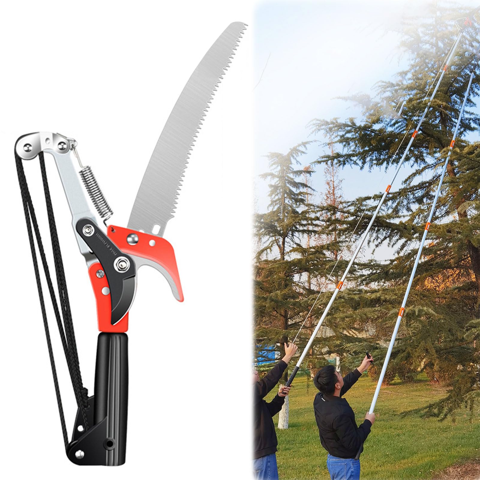 林業 アルミハシゴと高枝打ちノコ